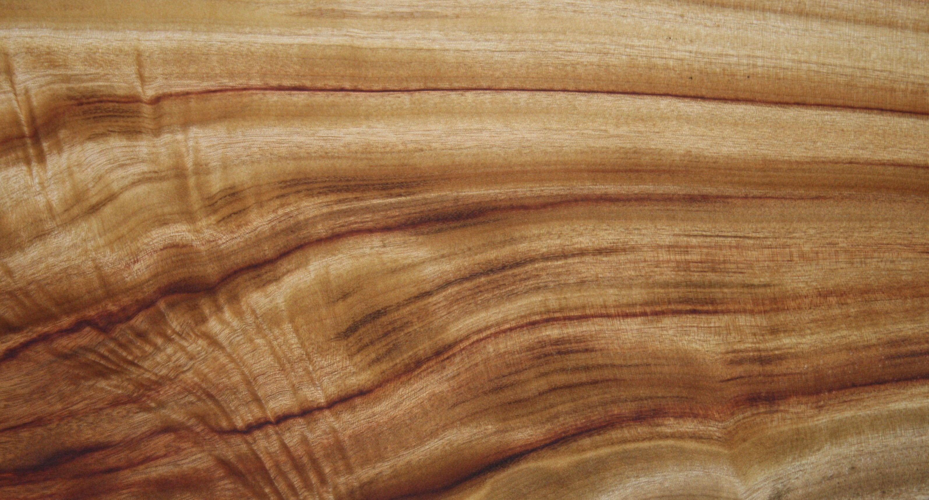 Sustainably Sourced from Australia’s East Coast
