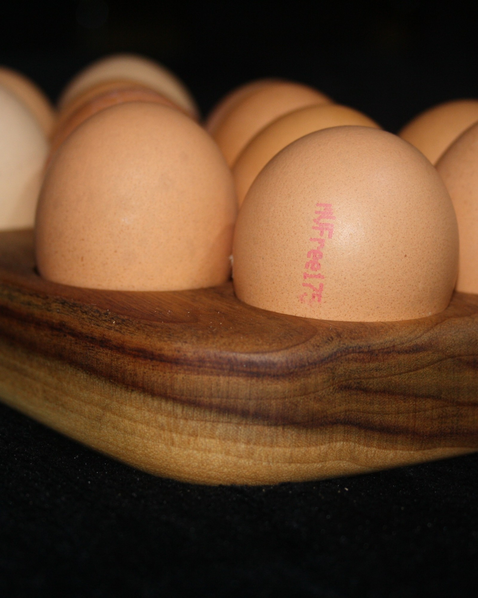 Camphor Laurel Egg Tray